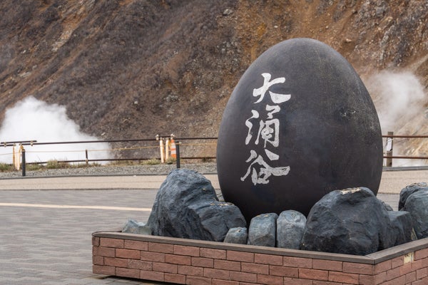 『空と湖の2つの乗り物に乗ってめぐる!箱根の紅葉旅 2025年4月にオープン!絶景「大涌谷のちきゅうの谷」』【桶川 出発】1